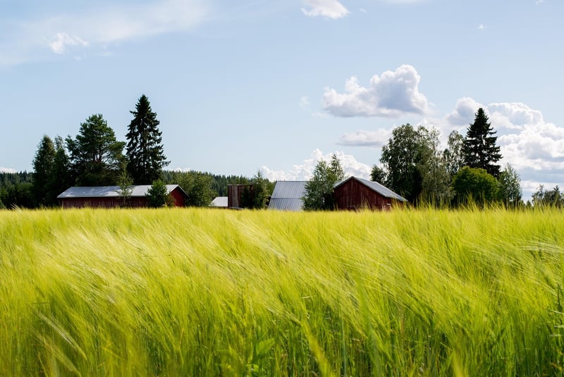 Rustic Barn